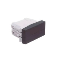 SCHNEIDER ORION MOD DUPLO INT SIMPLES 10A GR